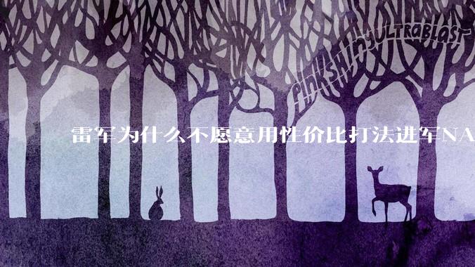 雷军为什么不愿意用性价比打法进军NAS？