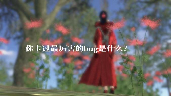 你卡过最厉害的bug是什么？